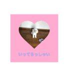 足立ラテ（個別スタンプ：14）