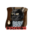 しろくろねこスタンプ（個別スタンプ：14）