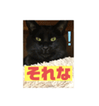 しろくろねこスタンプ（個別スタンプ：27）