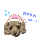 といもこスタンプ（個別スタンプ：8）