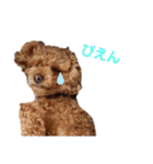 といもこスタンプ（個別スタンプ：10）