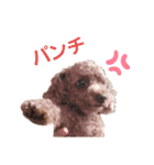 といもこスタンプ（個別スタンプ：11）