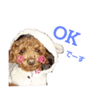 といもこスタンプ（個別スタンプ：14）