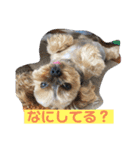 いぬのいもち（個別スタンプ：3）