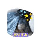いぬのいもち（個別スタンプ：4）