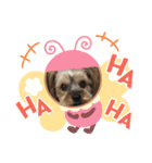 いぬのいもち（個別スタンプ：6）