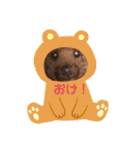 ぽんのの3（個別スタンプ：9）