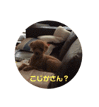 ぽんのの3（個別スタンプ：24）