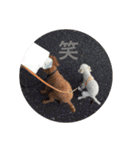 ぽんのの3（個別スタンプ：25）