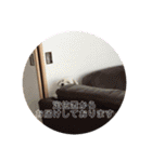 ぽんのの3（個別スタンプ：30）