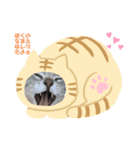 レグの日常^._.^（個別スタンプ：1）