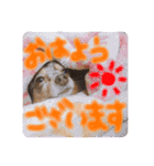 ここきゅん part2（個別スタンプ：1）