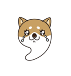 いといがワン（個別スタンプ：2）