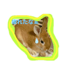 うさぎのみみ♡（個別スタンプ：1）