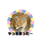 うさぎのみみ♡（個別スタンプ：6）