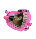 うさぎのみみ♡（個別スタンプ：7）