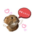 自由気ままなお嬢（個別スタンプ：10）