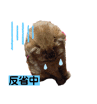 自由気ままなお嬢（個別スタンプ：11）