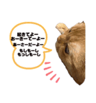 自由気ままなお嬢（個別スタンプ：13）