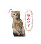 自由気ままなお嬢（個別スタンプ：16）