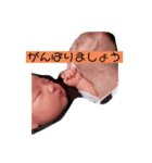 sela's stam（個別スタンプ：8）