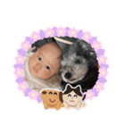 琉莉ちゃん＆アンと風太（個別スタンプ：3）