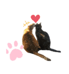 ウチの保護にゃんこ∩(^ΦωΦ^)∩（個別スタンプ：18）