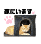 ウチの保護にゃんこ∩(^ΦωΦ^)∩（個別スタンプ：26）