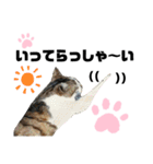 ウチの保護にゃんこ∩(^ΦωΦ^)∩（個別スタンプ：32）