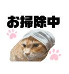 ウチの保護にゃんこ∩(^ΦωΦ^)∩（個別スタンプ：33）
