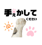 ウチの保護にゃんこ∩(^ΦωΦ^)∩（個別スタンプ：35）