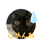 わさびとのり！（個別スタンプ：1）