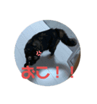わさびとのり！（個別スタンプ：2）