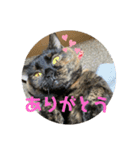 わさびとのり！（個別スタンプ：3）