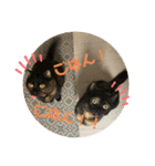 わさびとのり！（個別スタンプ：4）