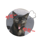 わさびとのり！（個別スタンプ：9）