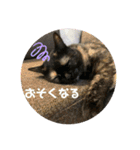 わさびとのり！（個別スタンプ：13）