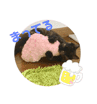 わさびとのり！（個別スタンプ：16）