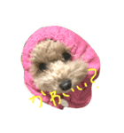 こむぎとこじろう（個別スタンプ：5）