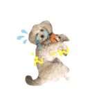 こむぎとこじろう（個別スタンプ：12）
