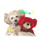 こむぎとこじろう（個別スタンプ：17）
