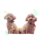 こむぎとこじろう（個別スタンプ：23）