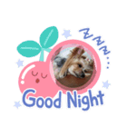 ♡nicrry♡（個別スタンプ：3）
