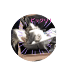 モモさんくぅーさん2（個別スタンプ：4）