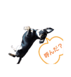 モモさんくぅーさん2（個別スタンプ：8）