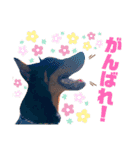 ロミオくん☆⋆（個別スタンプ：15）