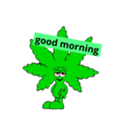 THC girl（個別スタンプ：1）