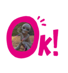 THC girl（個別スタンプ：3）