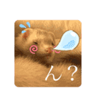 くまおおめ♪（個別スタンプ：3）