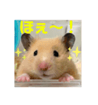 くまおおめ♪（個別スタンプ：4）